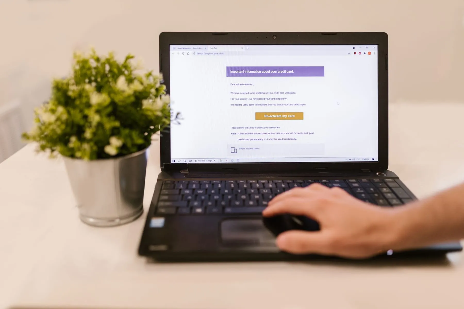 Pessoa lendo e-mails no notebook em uma mesa com planta
